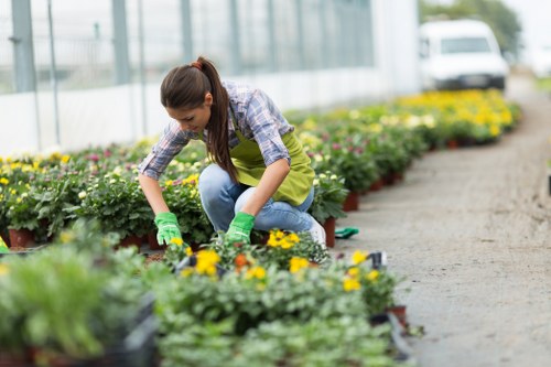 Gardeners Greenford pricing explained for a tidy residential garden