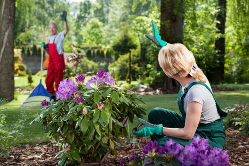 Professional Greenford gardener caring for shrubs and hedges