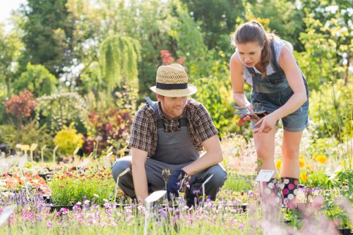 Sustainable landscaping in Greenford with eco-friendly planting