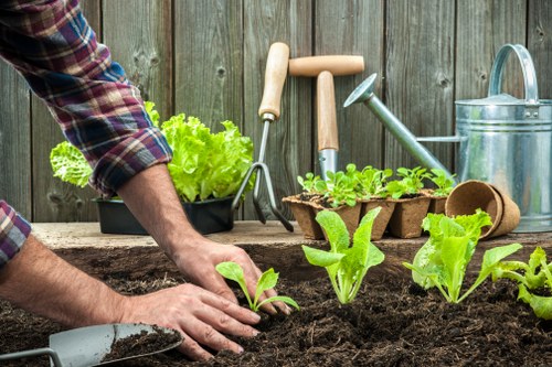 Soft landscaping and garden improvement services in Greenford