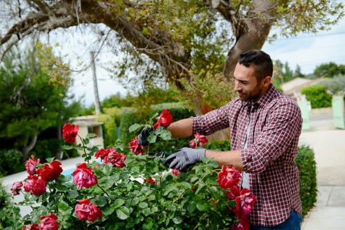 Customer complaint review for Gardeners Greenford