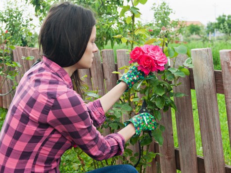 Commercial and garden fencing in Greenford with practical, long-lasting materials