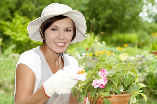 Seasonal lawn maintenance in Greenford with green turf