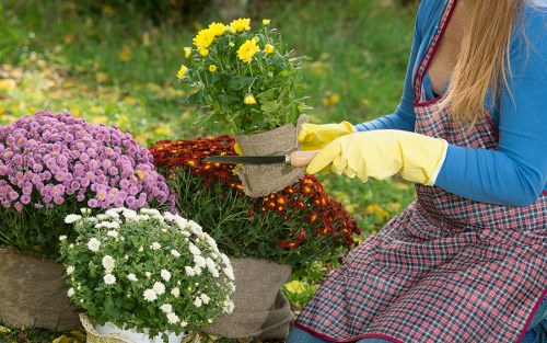 Accessibility request support for Gardeners Greenford users