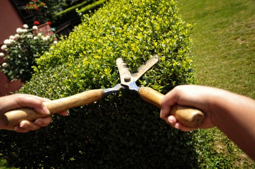 Gardening liability and site safety explanation