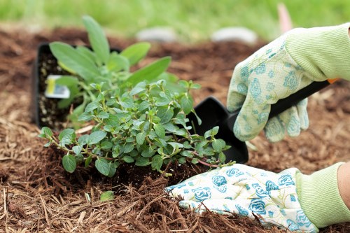 Responsible waste separation and recycling for Gardeners Greenford