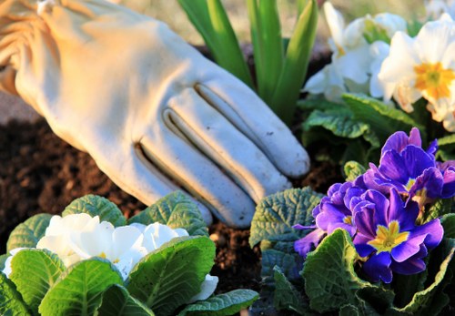 Essential cookies information for Gardeners Greenford