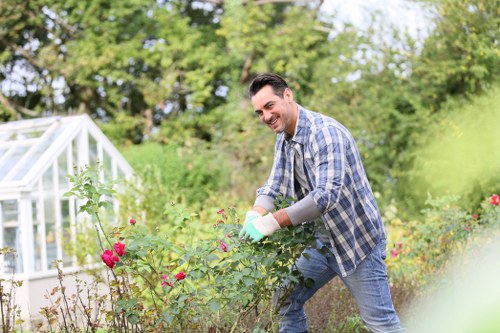 Lawn care and weeding for a Greenford garden