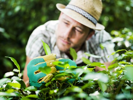 Protected Gardeners Greenford secure payments section