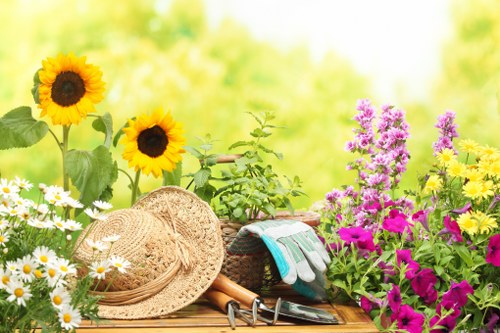 Outdoor risk assessment during garden maintenance