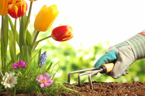 Professional gardeners shaping a well-kept Greenford garden