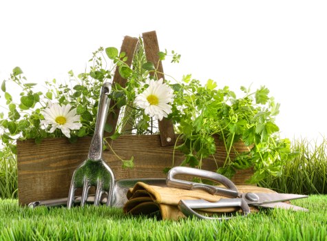 Risk assessment and safe working methods in a Greenford garden