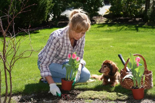 Seasonal garden planting and hard landscaping for a Greenford home