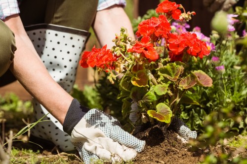 Supplier audit and compliance review for Gardeners Greenford