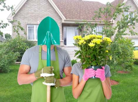 Healthy and attractive garden care by Greenford gardeners