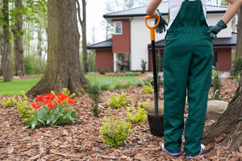 Pruning shrubs during garden maintenance in Greenford