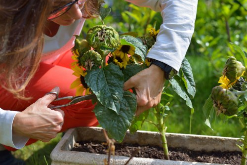 Analytics and performance monitoring concept for Gardeners Greenford