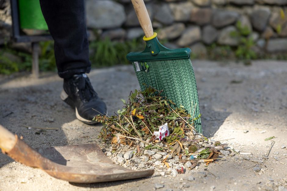 A blue metal wheelbarrow filled with freshly cut green garden shrubbery and branches, positioned on a grassy lawn with small white dandelion seed heads scattered across the grass. The wheelbarrow has 